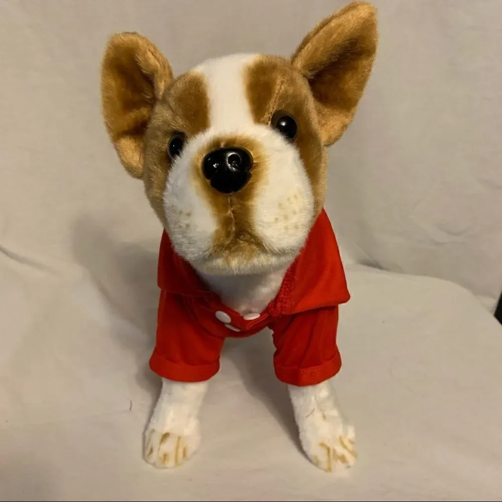Bundle of Four Doggie Polo Shirts